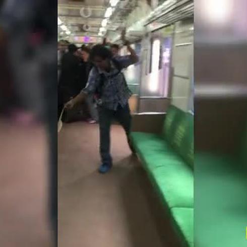  Viral: hombre mata una serpiente con sus manos en un tren