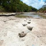 Sequía revela huellas de dinosaurio en el lecho de un río de Texas