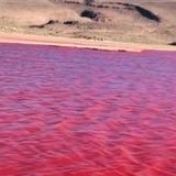 Se tiñe de rojo el río Nilo