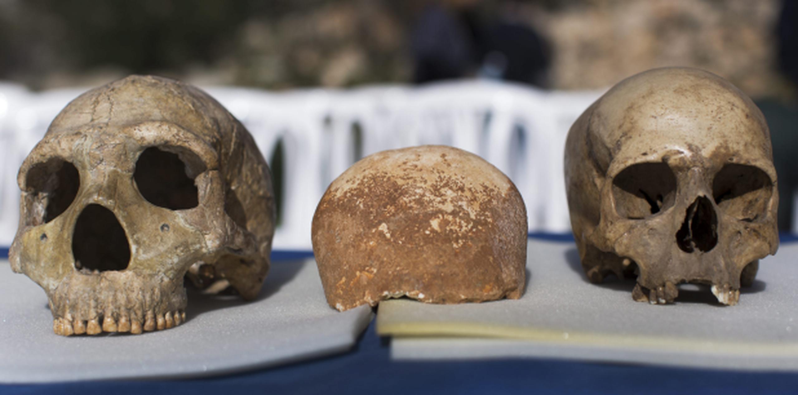El cráneo central, que data de hace 55,000 años, sugiere que pudieron pasar por allí (Oriente Medio) los primeros Homo Sapiens que más tarde colonizaron Europa. (EFE)