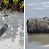 Detonan proyectil encontrado en playa Flamenco de Culebra