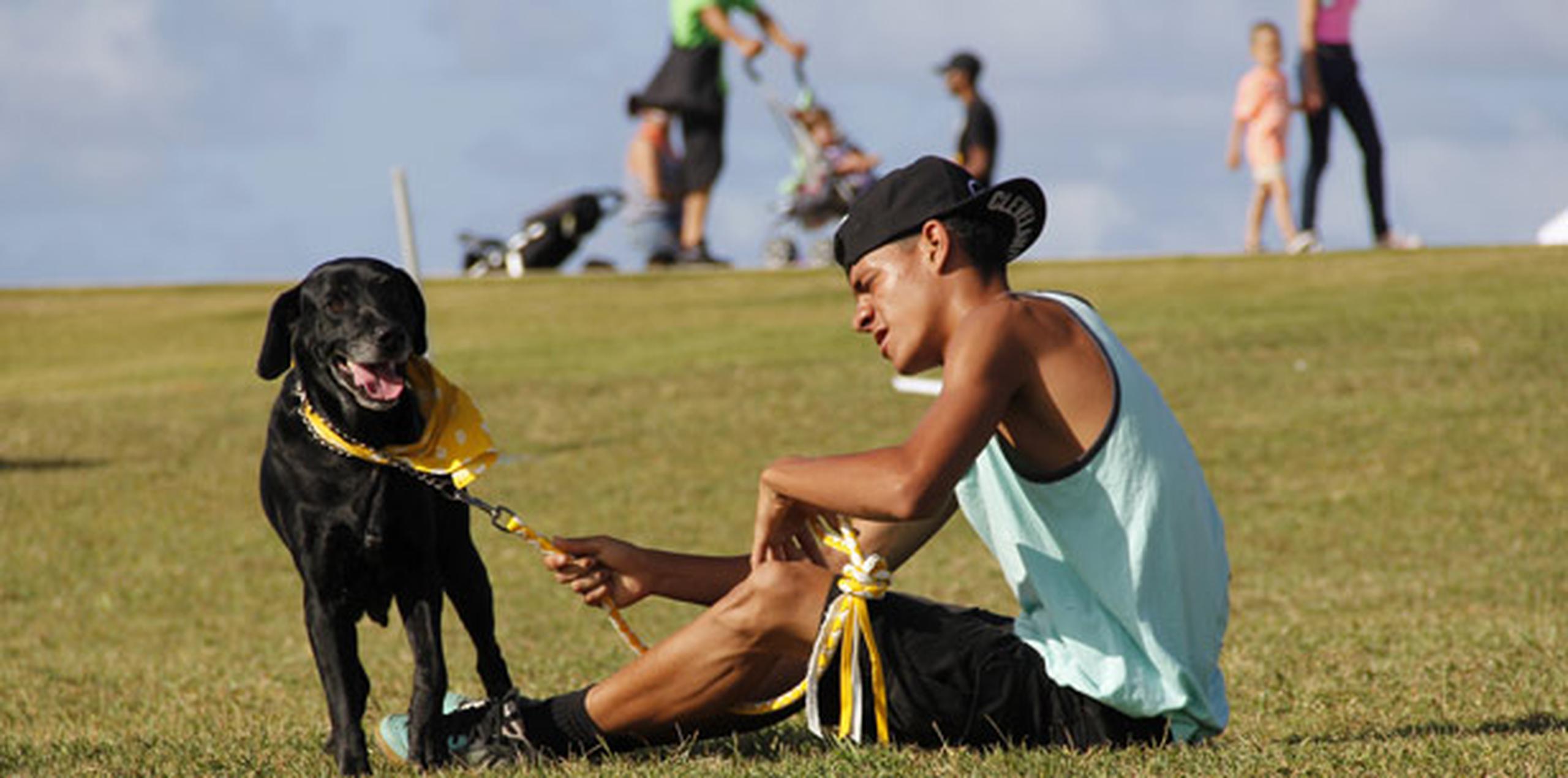 La cuarta edición de El Morro Pet Fest movió a familias de distintos pueblos hacia la ciudad amurallada, donde sus amigos de cuatro patas disfrutaron de sesiones de entrenamiento, un parque cerrado para jugar, y hasta masajes. (michelle.estrada@gfrmedia.com)