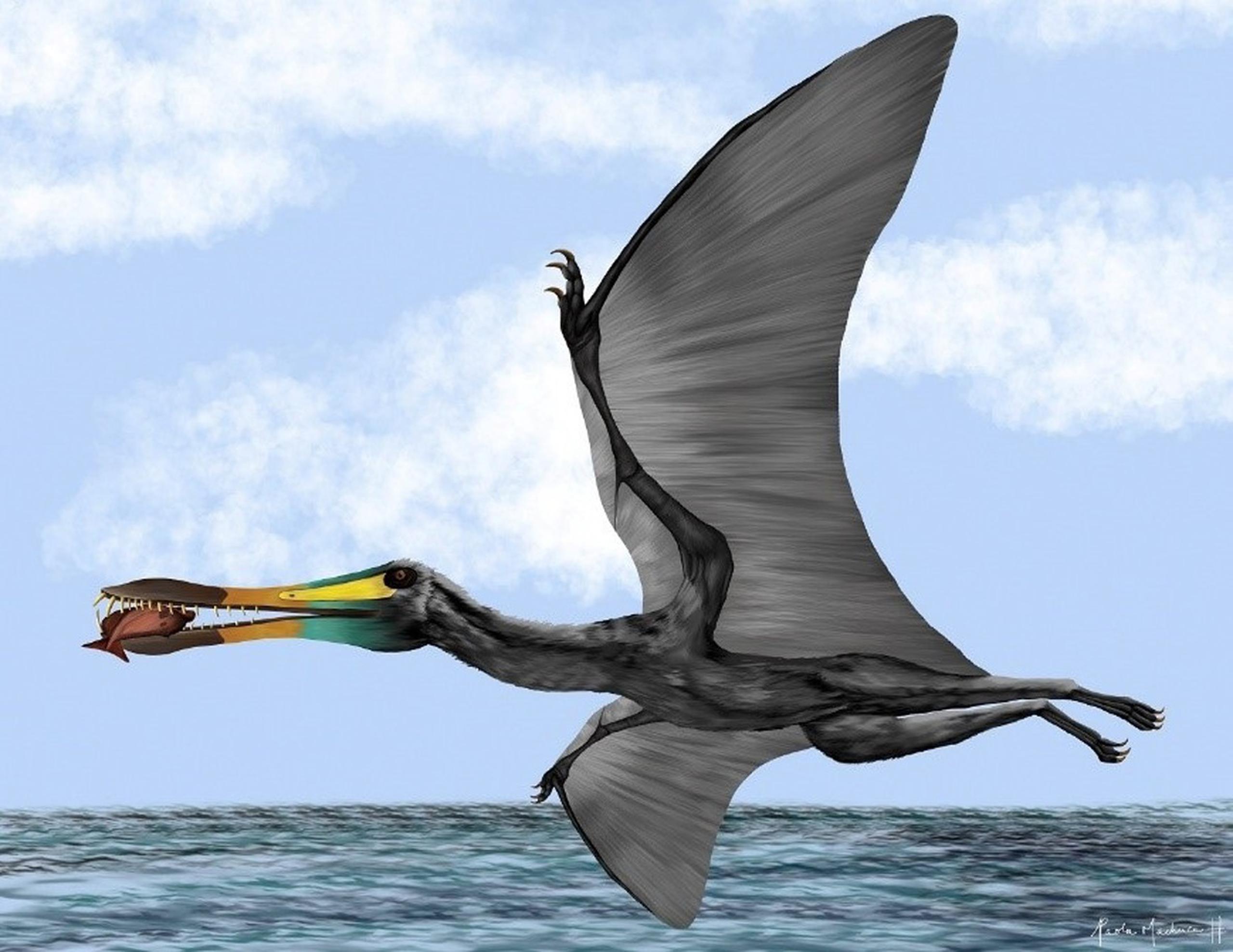 Ilustración que muestra un pterosaurio, reptil vertebrado volador