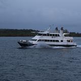 Gobernador descarta cancelar contrato a empresa que maneja los ferries a Vieques y Culebra