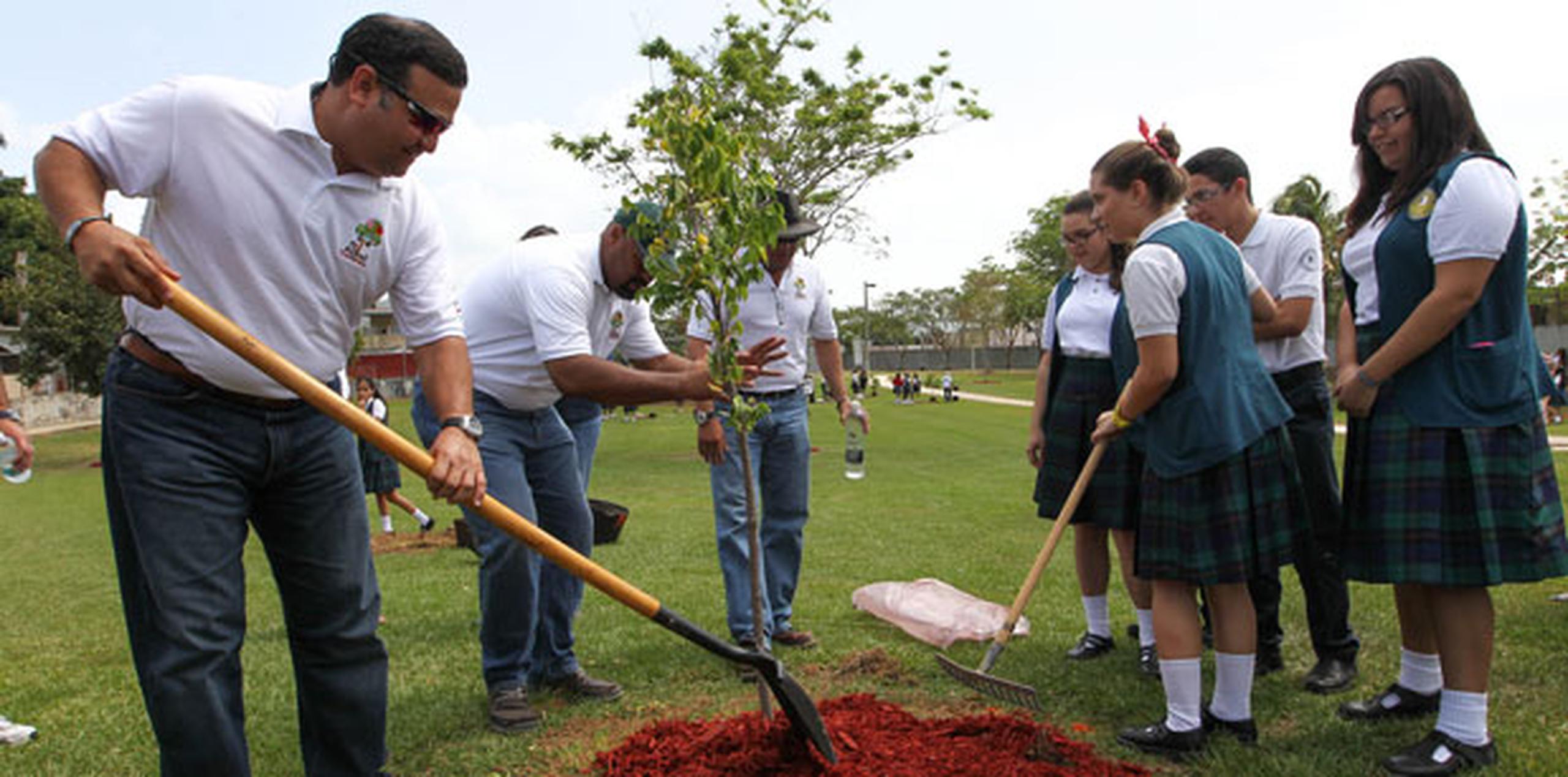 El alcalde de Caguas, William Miranda Torres,  celebró junto a los residentes de la Comunidad de Bonneville Heights el Día del Árbol. (Suministrada)