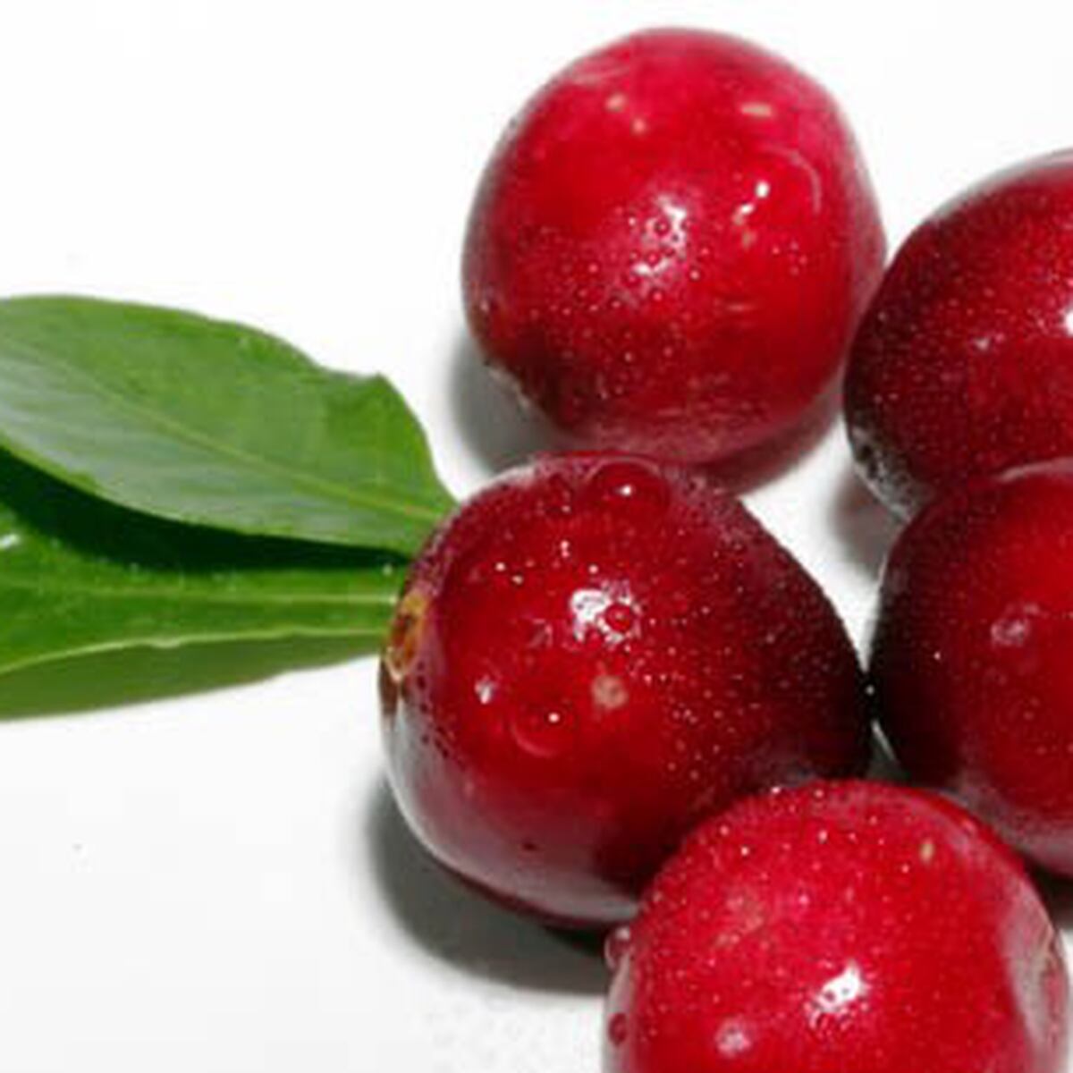 Cereza Fruta De Puerto Rico
