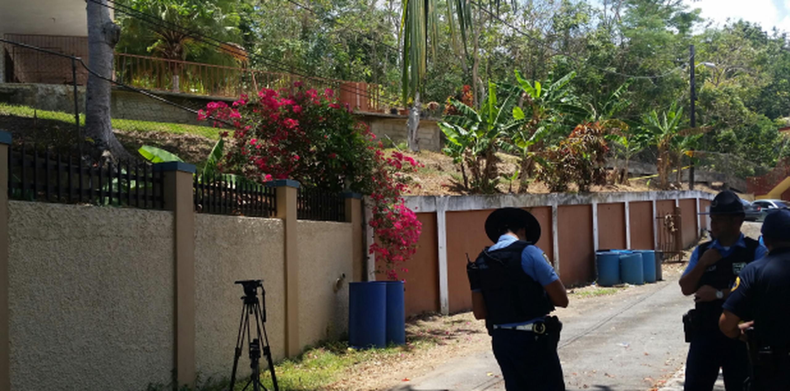 El crimen ocurrió en Trujillo Alto en medio de una disputa familiar. (Archivo)