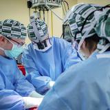 Médicos de Nueva York logran trasplantar el riñón de un cerdo a un hombre con muerte cerebral