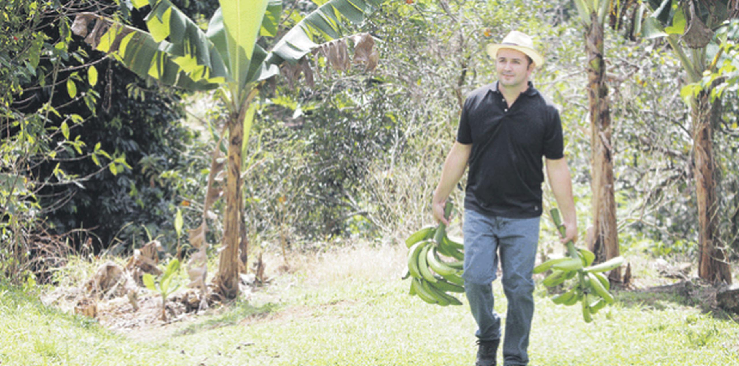 El agroempresario y su esposa han establecido desde hace varios meses productos a base de plátano. (PARA EL NORTE / GERARDO CASTILLO)
