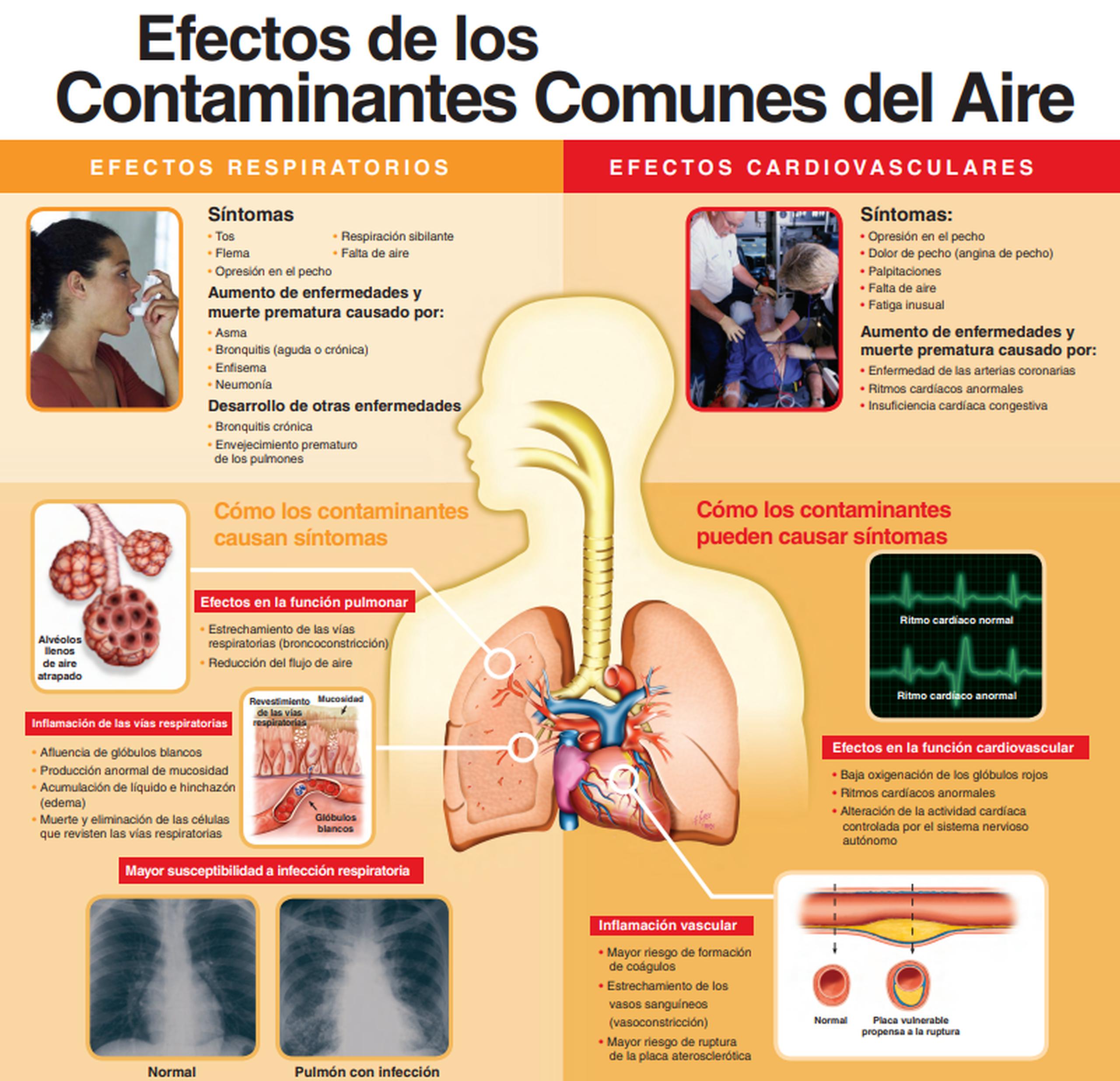Información del DRNA sobre los efectos de los contaminantes comunes del aire.
