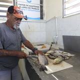 Optimista la villa de pescadores de Puerto Real al estrenar sistema de placas solares