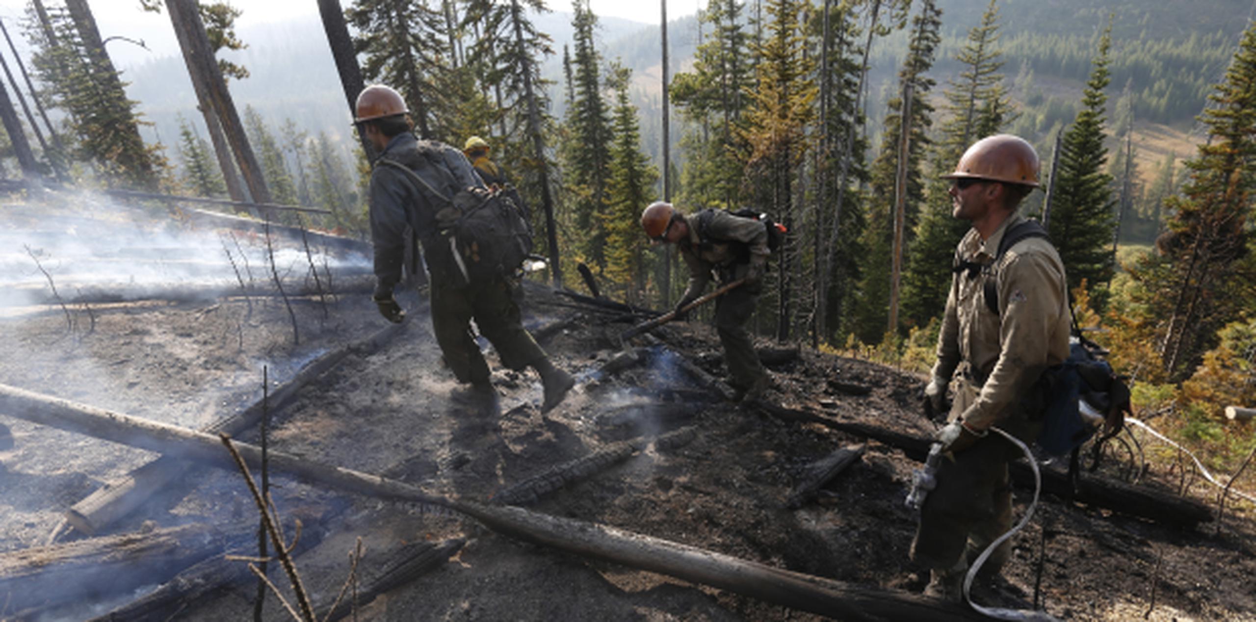 Miles de bomberos continúan combatiendo decenas de incendios forestales que están activos en estos momentos en California (AP/Brennan Linsley)
