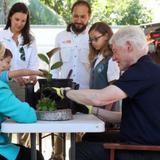 Bill y Hillary Clinton siembran uvas playeras en Fajardo