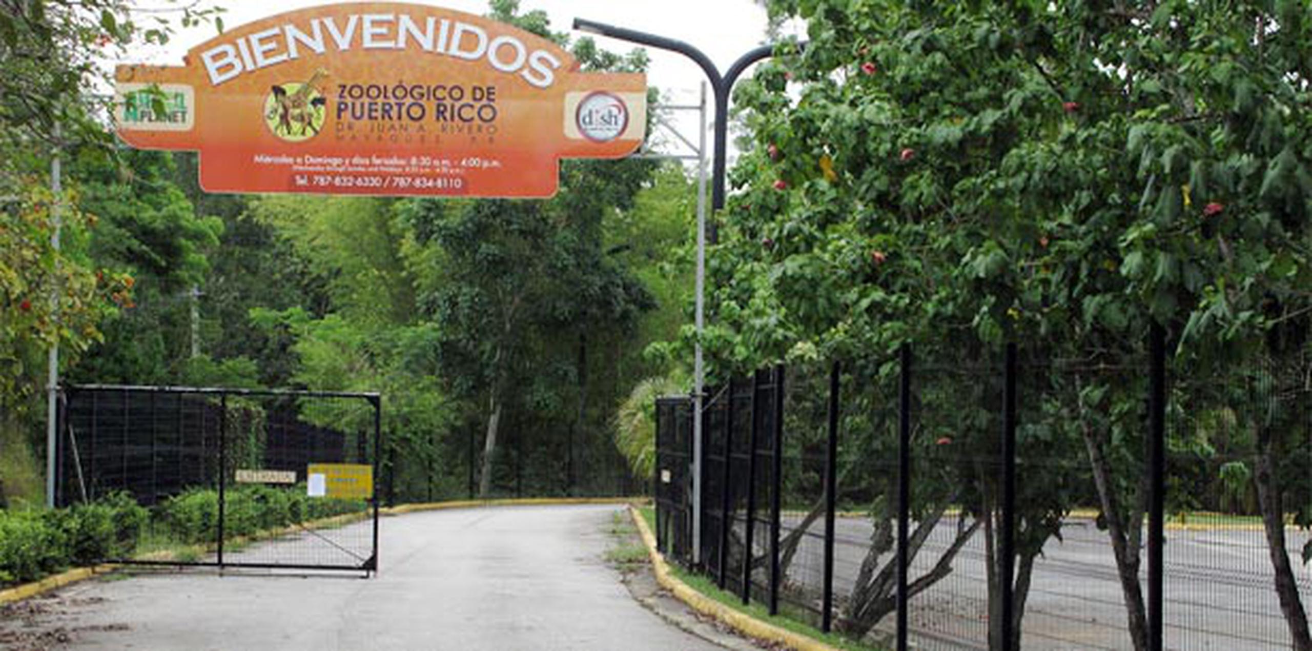 El alcalde de Mayagüez sostuvo que de la misma manera en que se deterioran las facilidades del zoológico, están las instalaciones que administra la CPNPR en otros municipios. (Archivo)