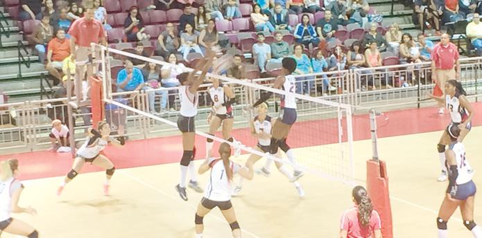 Al finalizar la serie amistosa con la República Dominicana, las Leonas de Ponce miran hacia el campeonato de la Liga Superior Femenina como la meta posible y aceptable. (Suministrada)