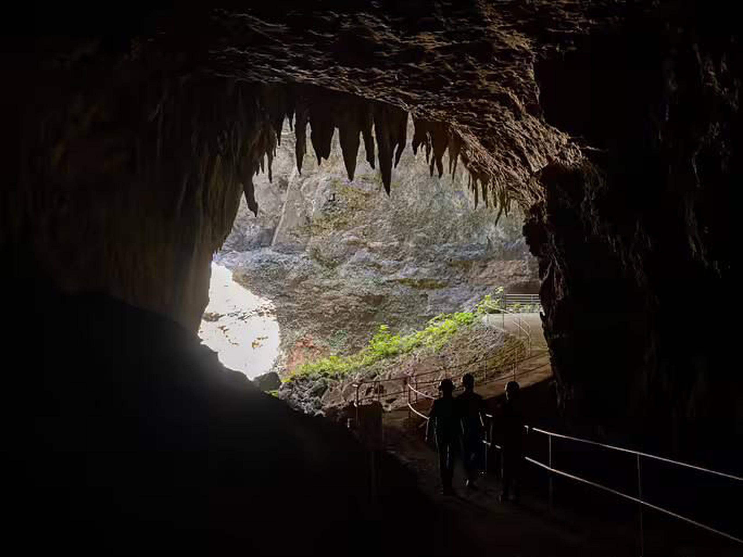 Considerada una de las principales atracciones turísticas de la Isla, el Parque de las Cavernas del Río Camuy recibe un promedio de 5 mil turistas mensuales durante la temporada alta.