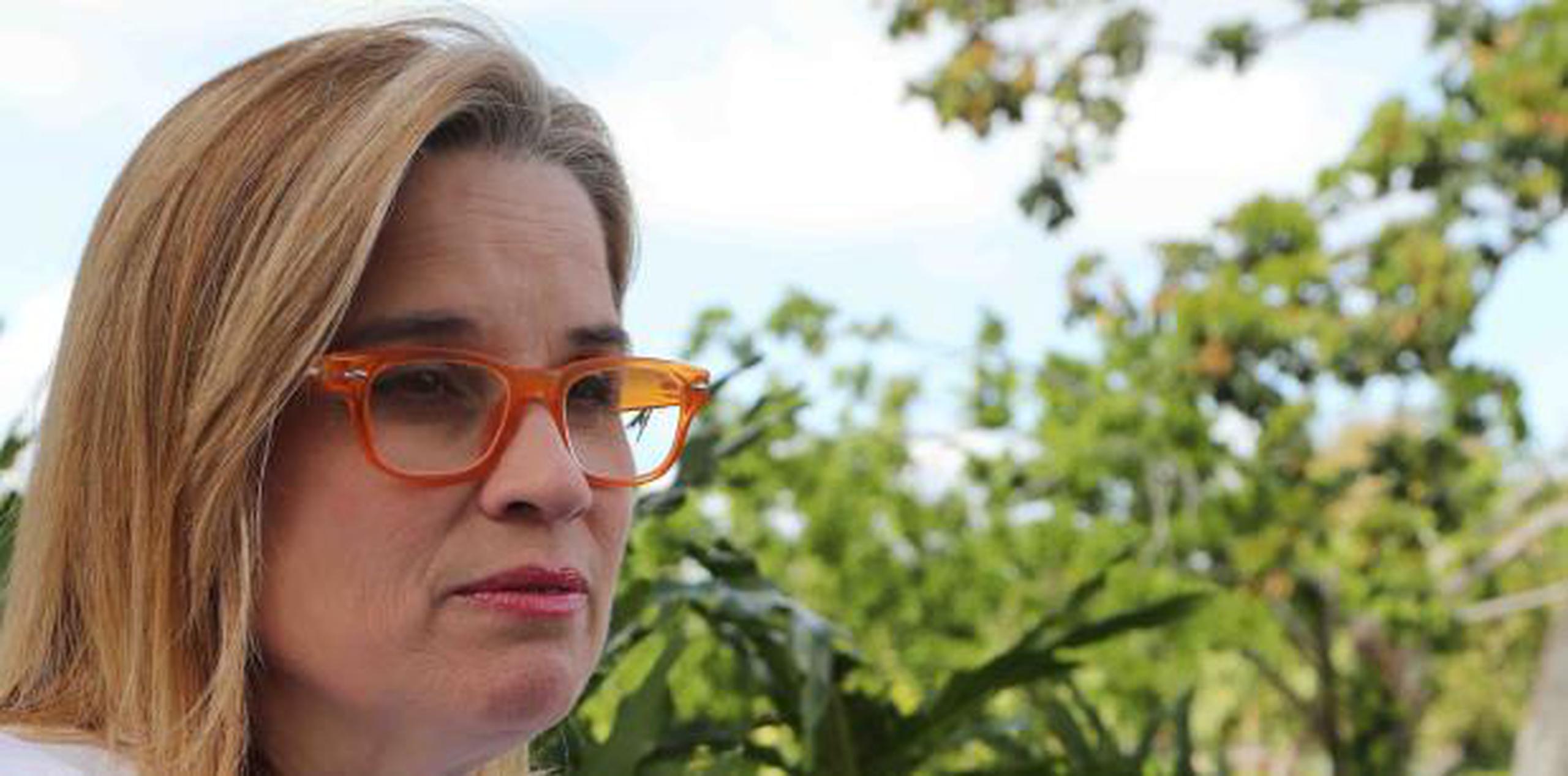 “Cuidado de utilizar las agencias públicas para el mollero político”, sentenció Cruz Soto. (Archivo)