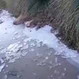 Frío congela arroyo en República Dominicana