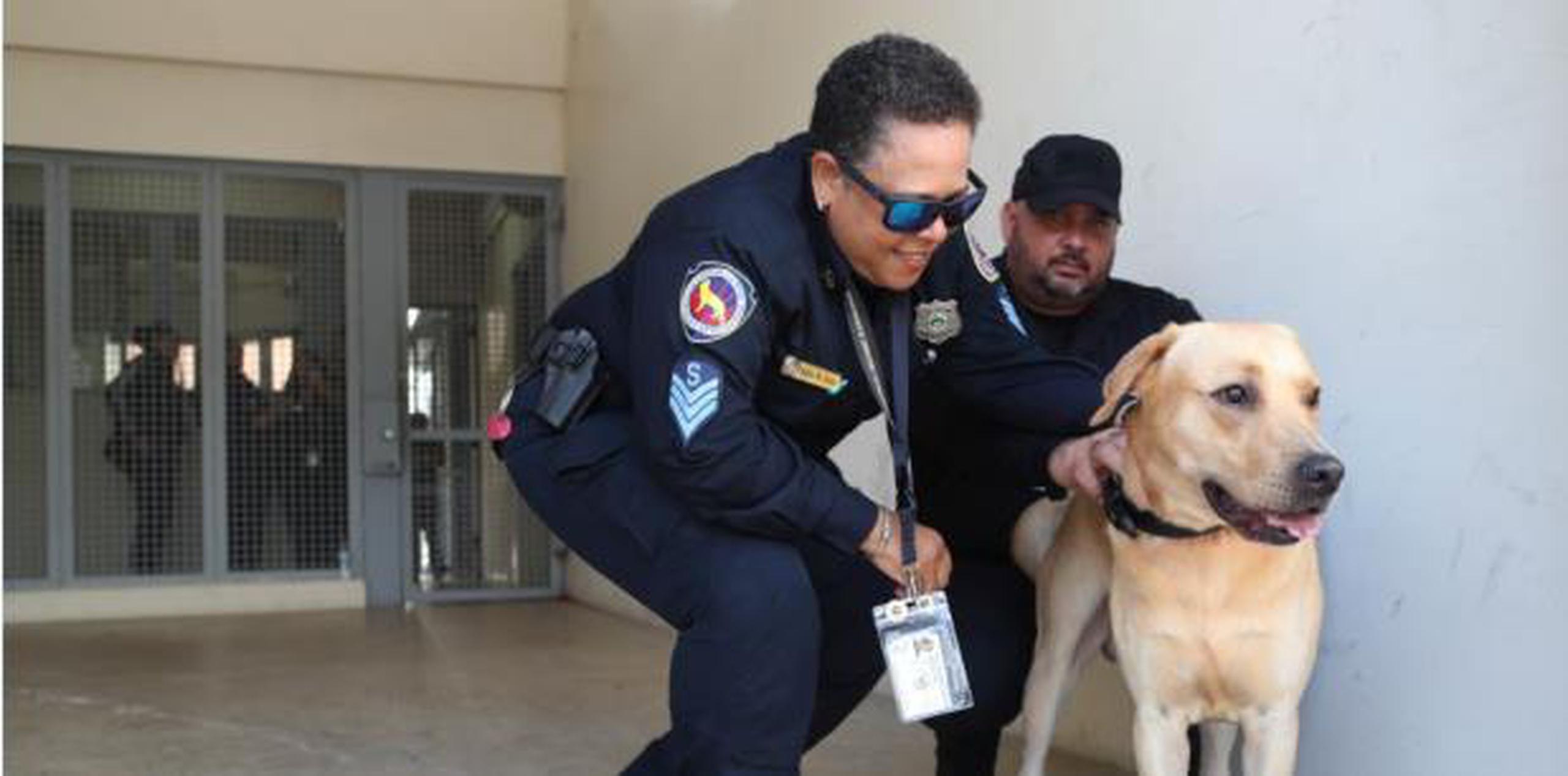 es un perro k9 un oficial de policia