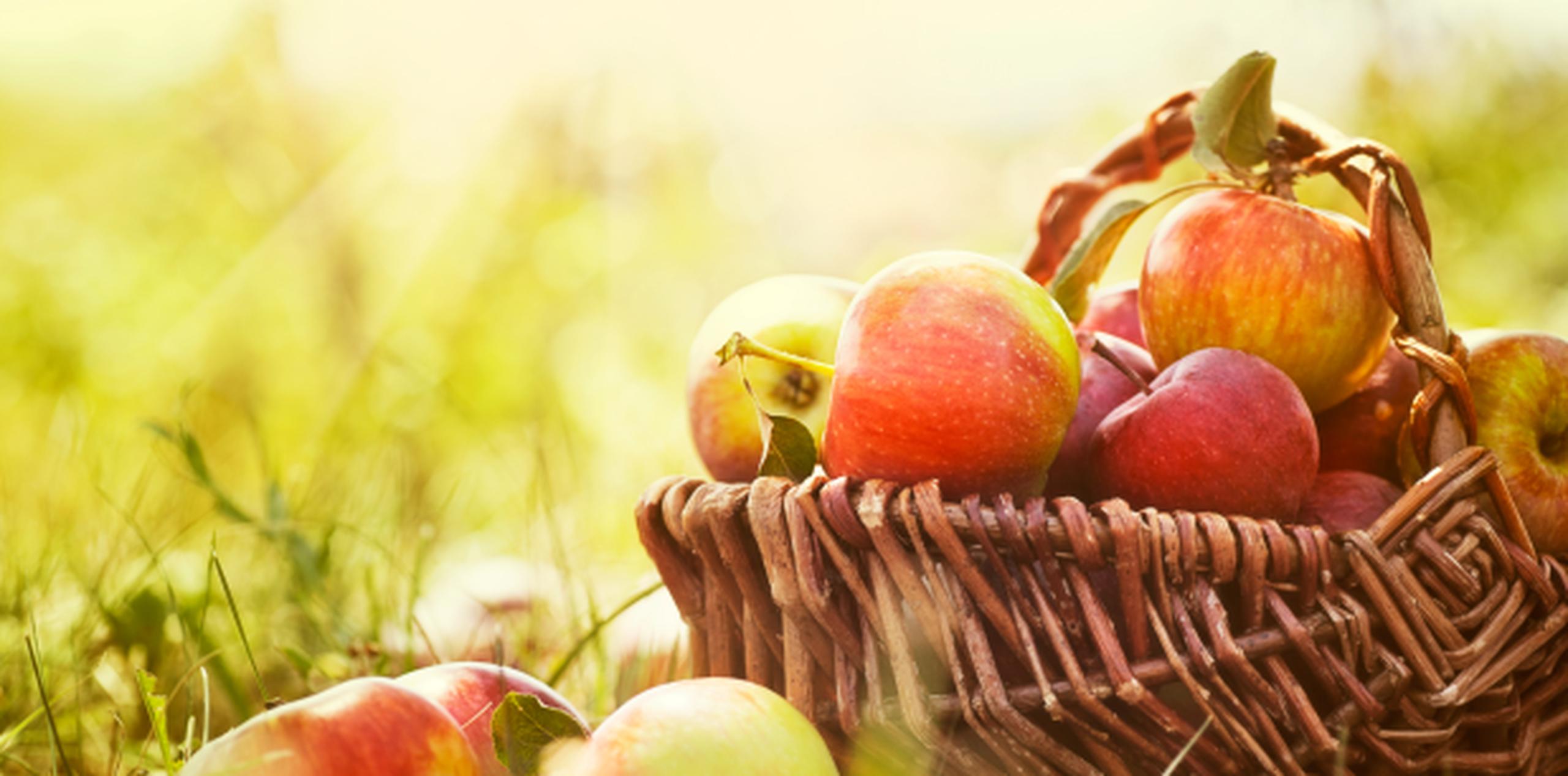 De acuerdo con la Universidad de Massachussets Lowell, la manzana es capaz de mejorar la memoria. (Shutterstock)