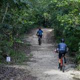 Bosque de Cambalache: santuario natural en Arecibo