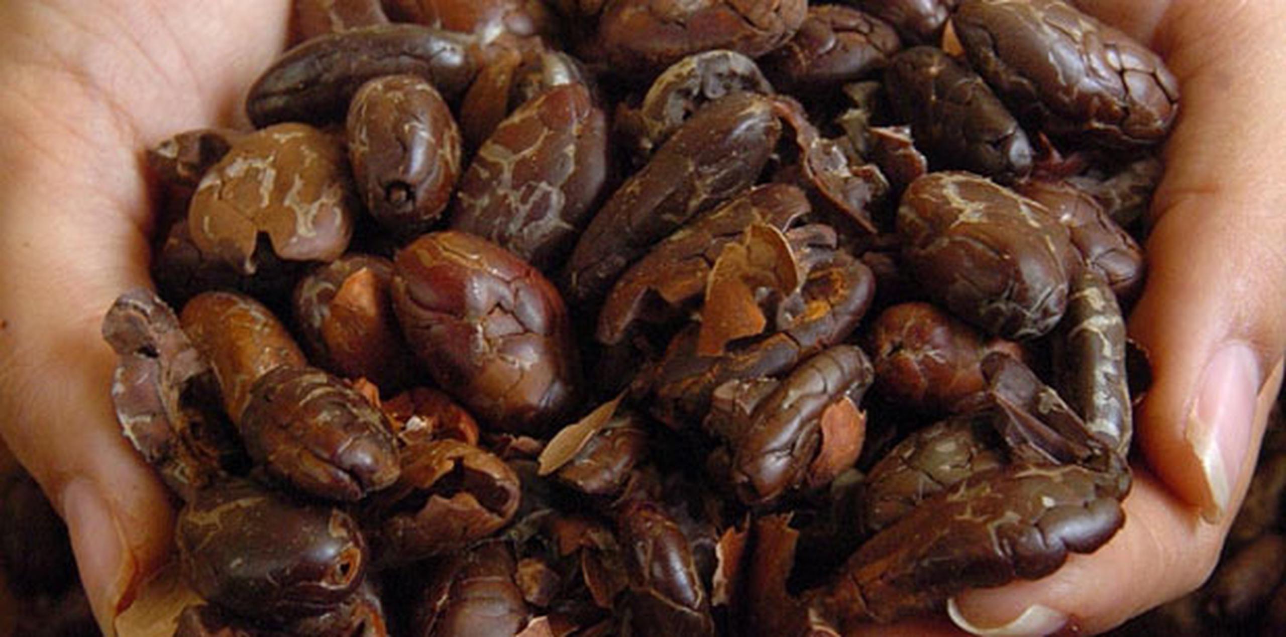La Real Academia Española define al cacao como la semilla de un árbol de a ocho metros de altura, hojas alternas, lustrosas, lisas, duras y aovadas, flores pequeñas, amarillas y encarnadas. (Archivo)
