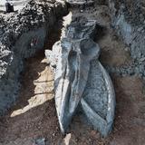 Descubren el fósil casi intacto de un cetáceo de entre 3,000 y 5,000 años