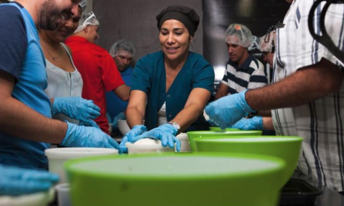 Recorrido sabroso en Hatillo Primera Hora