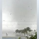 Tornado en Arecibo tuvo vientos de 107 millas por hora