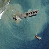 Ascienden a 25 los delfines muertos en Mauricio tras el derrame de petróleo 