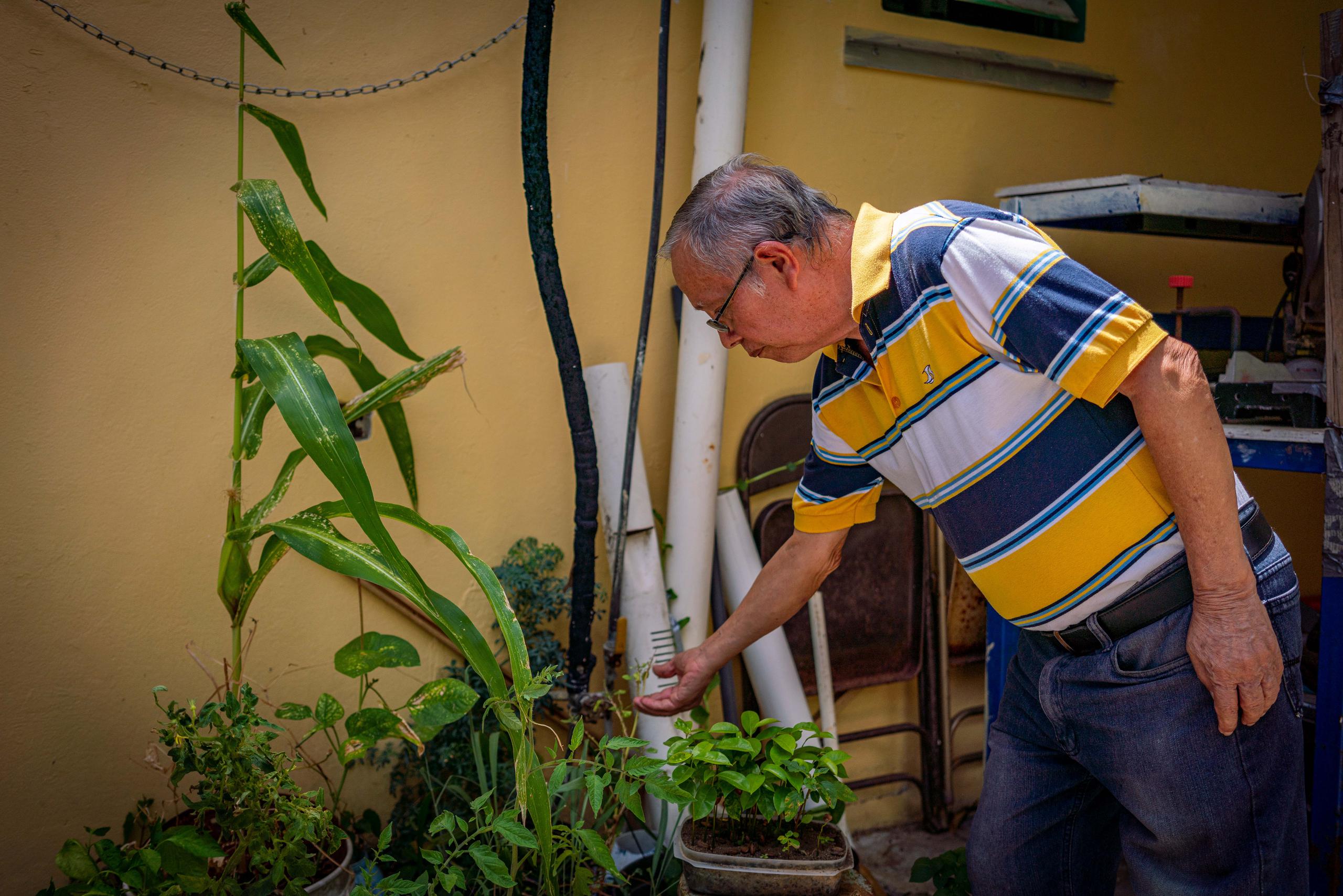 Don Pablo mostrando sus plantas del patio. 