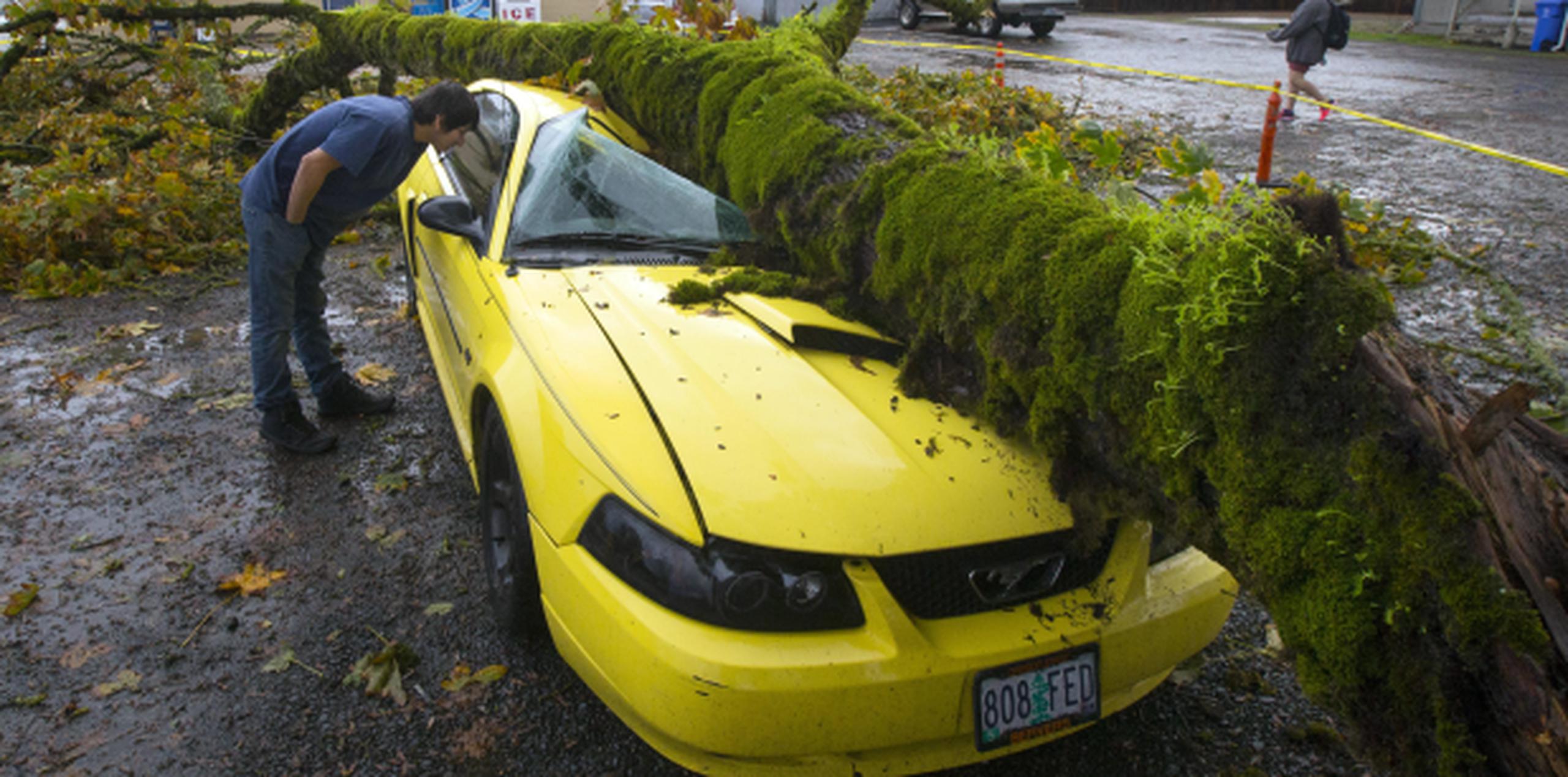Ángel Ramos mira lo que queda de un Mustang del 2003 destrozado por un árbol caído. (Prensa Asociada)