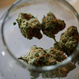 Dispensarios en Las Vegas tendrán ofertas para la marihuana