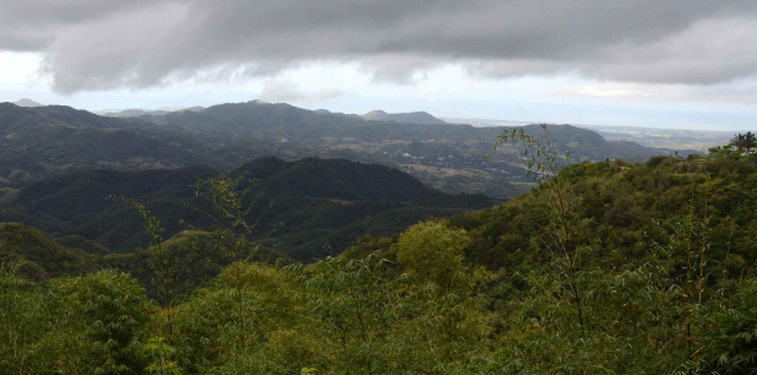 Vistazo a las montañas de Aibonito, pueblo donde las temperaturas han estado en los bajos sesenta en los pasados días. (Archivo)