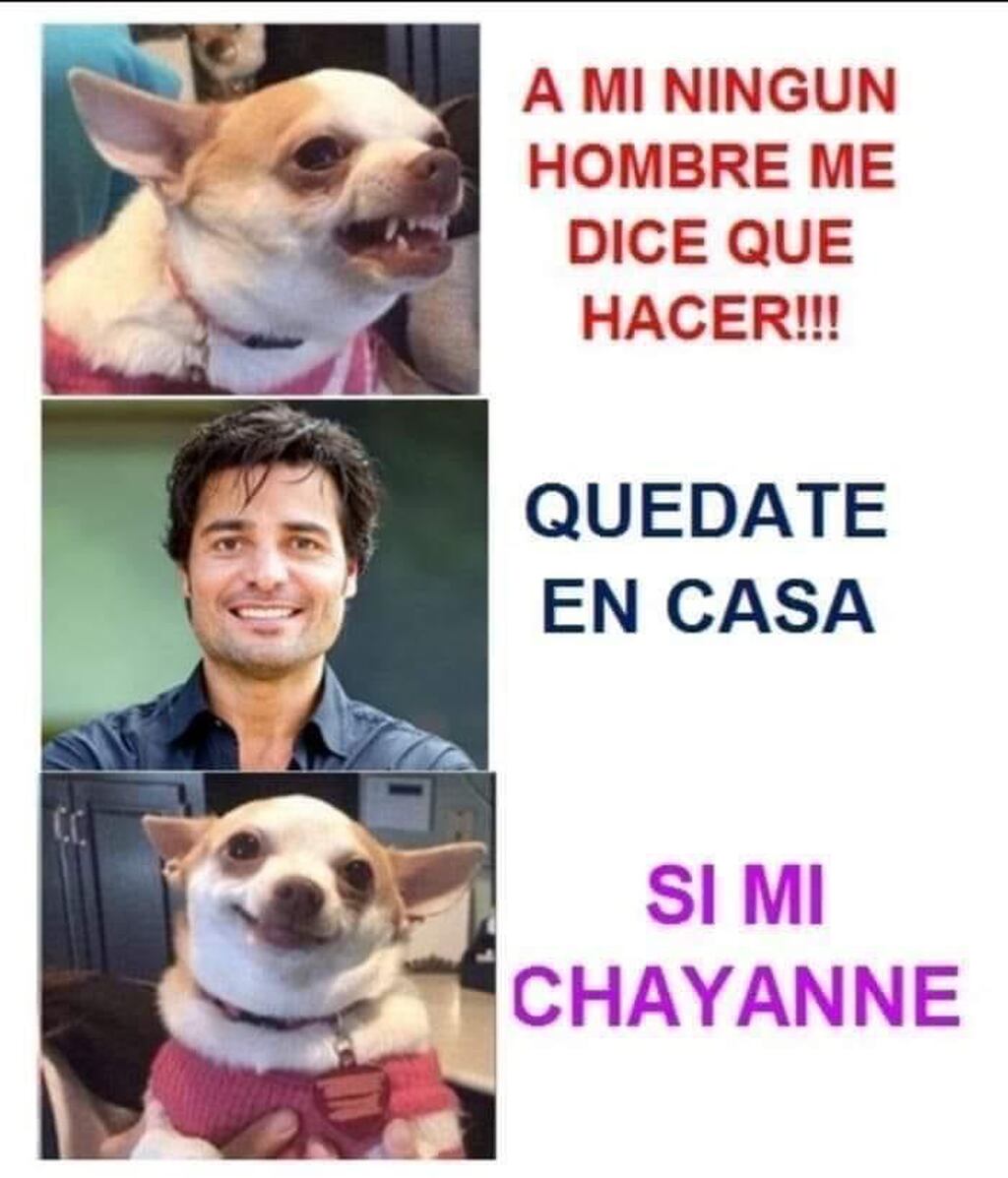 Los Mejores Memes De La Semana Primera Hora