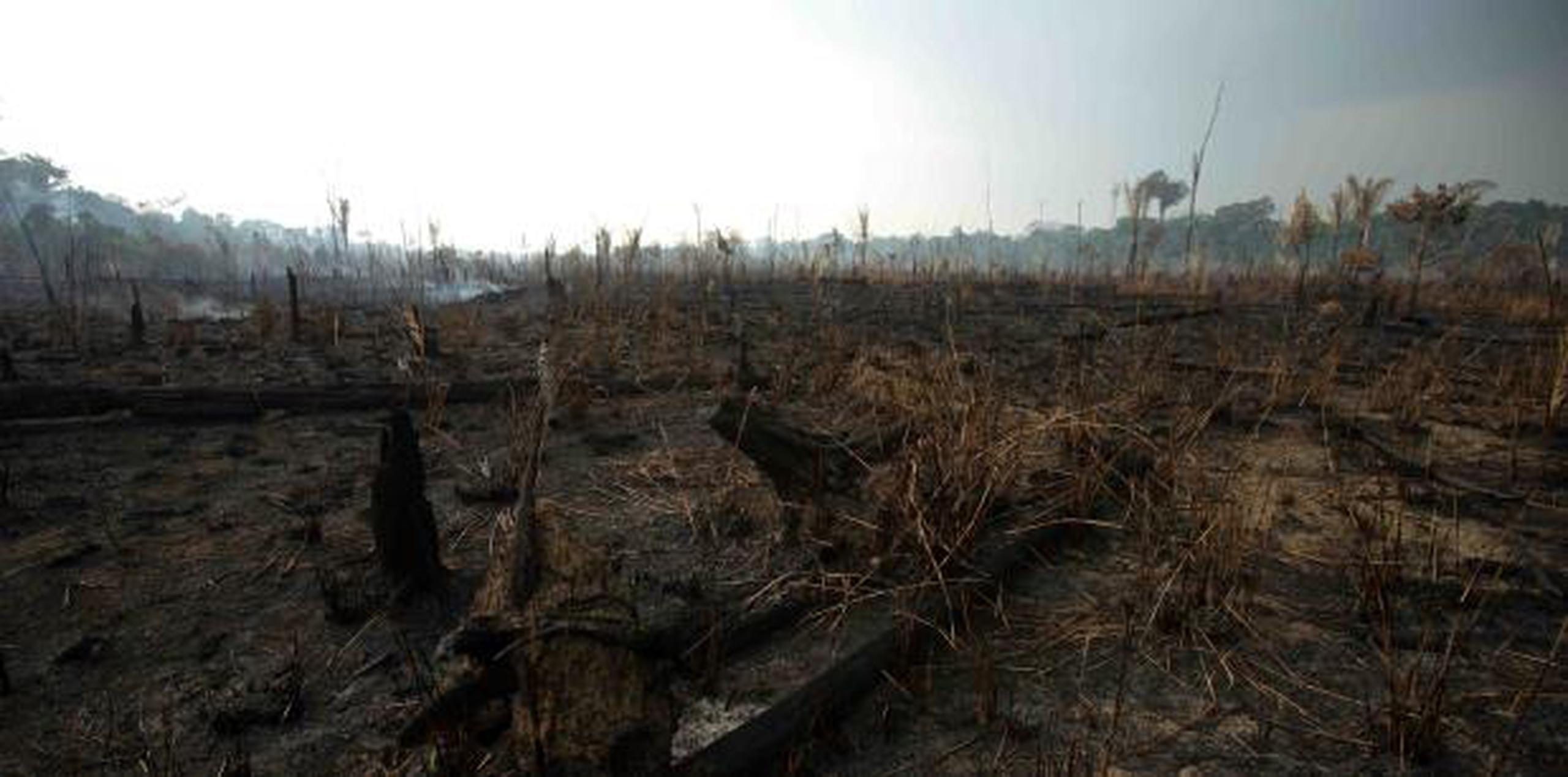 La región amazónica ha registrado más de la mitad de los 71,497 incendios forestales detectados en Brasil entre enero y agosto de este año, una cifra un 83% superior al del mismo período de 2018. (EFE)
