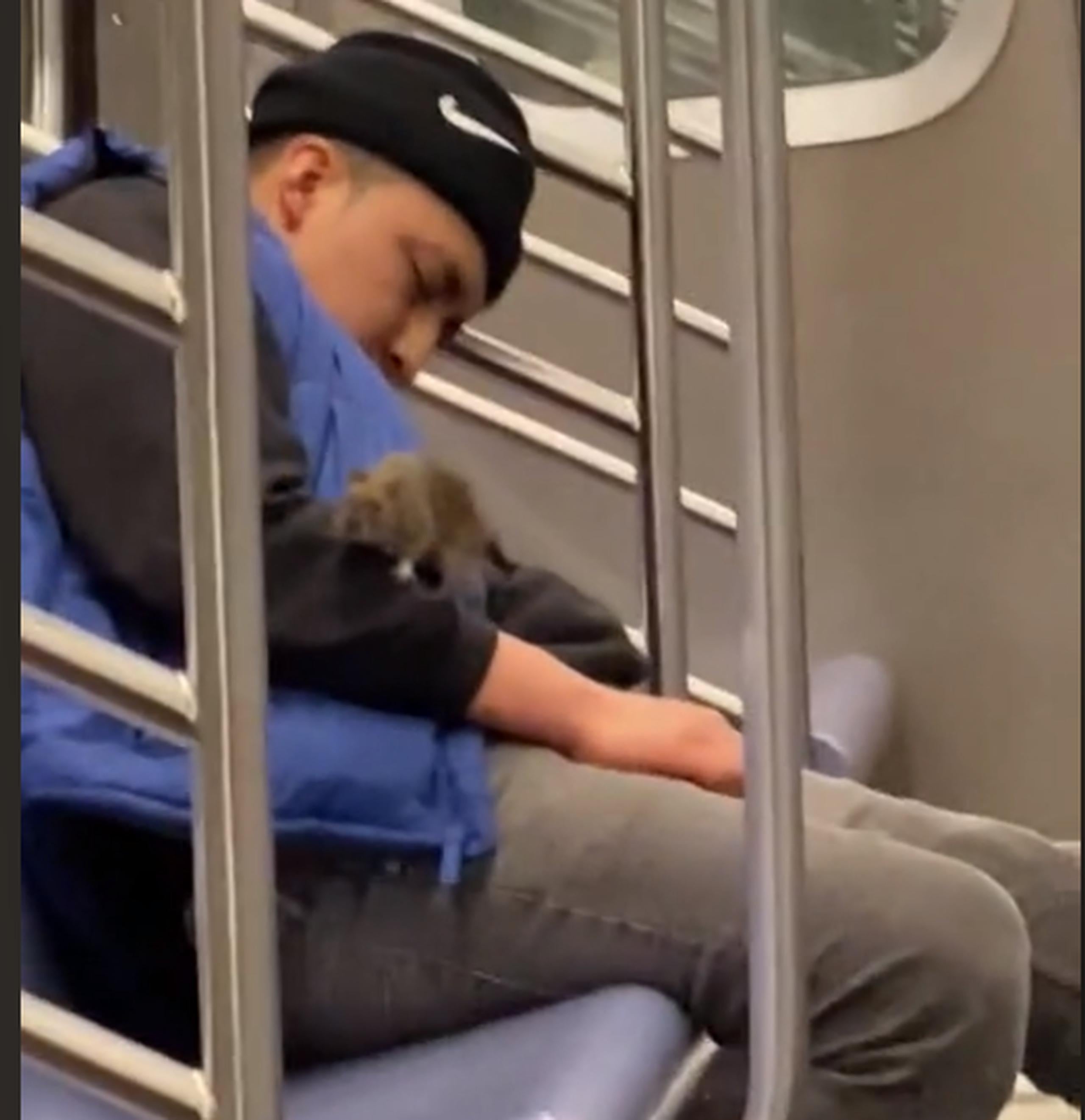 La ciudad de Nueva York anunció nuevas medidas para lidiar con las ratas.