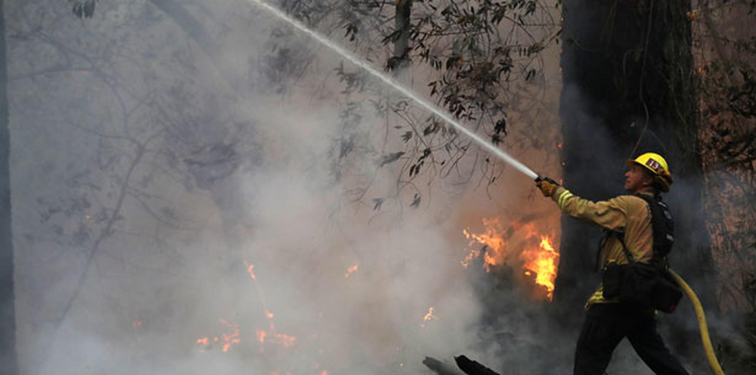 Las cuadrillas de bomberos pudieron ganar terreno debido a que los vientos que alimentaban las llamas no se extendieron de la noche a la mañana como se temía. (AP)