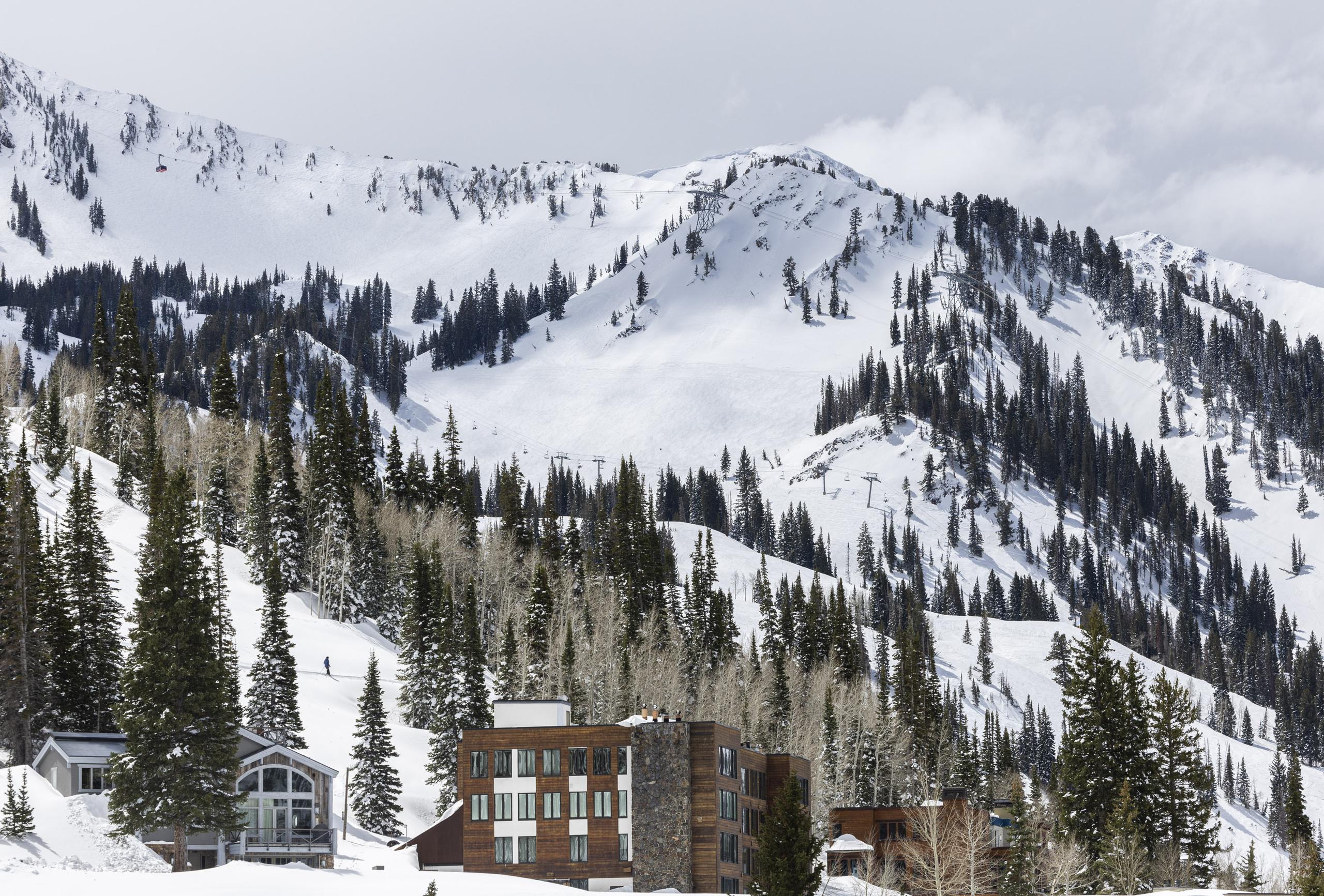 Al menos 15 personas han muerto en avalanchas en Estados Unidos en lo que va de invierno.
