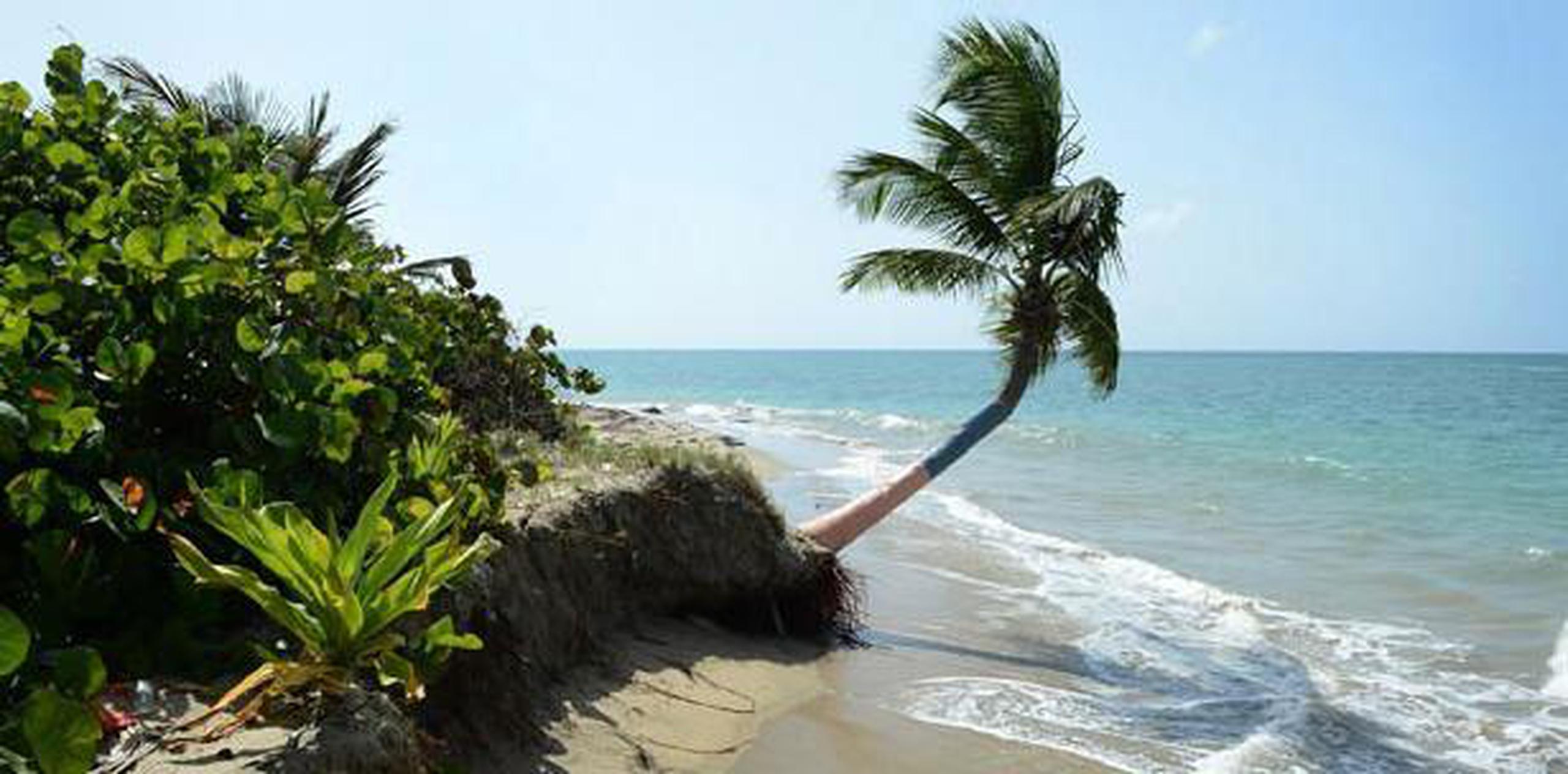 No hay aviso de corrientes de resaca para ninguna de las playas de Puerto Rico ni las islas municipio. (Archivo) 
