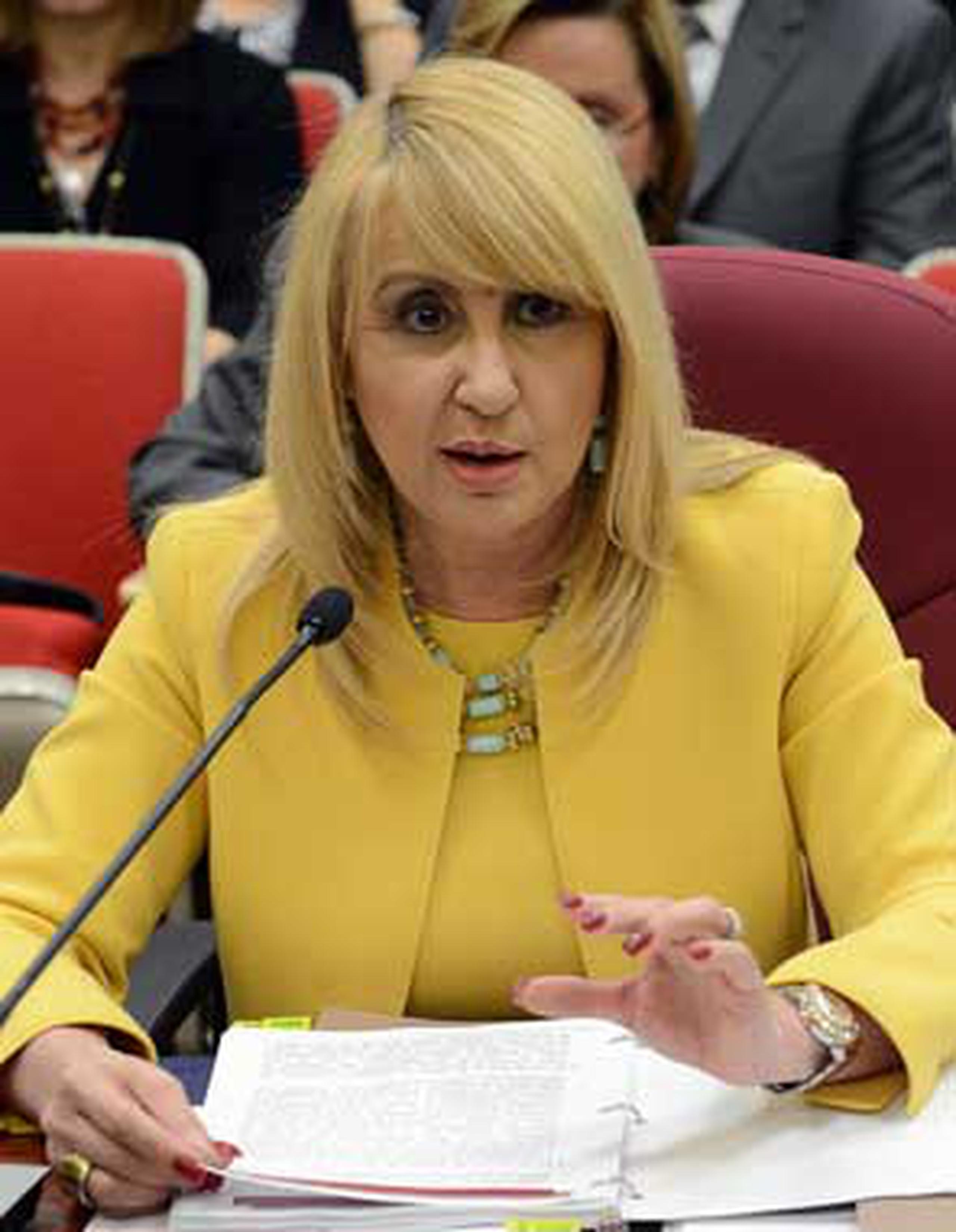 Vélez participó el pasado miércoles de una vista pública en la Comisión de Gobierno de la Cámara de Representantes en la que se discutió la Resolución de la Cámara 463. (Archivo)