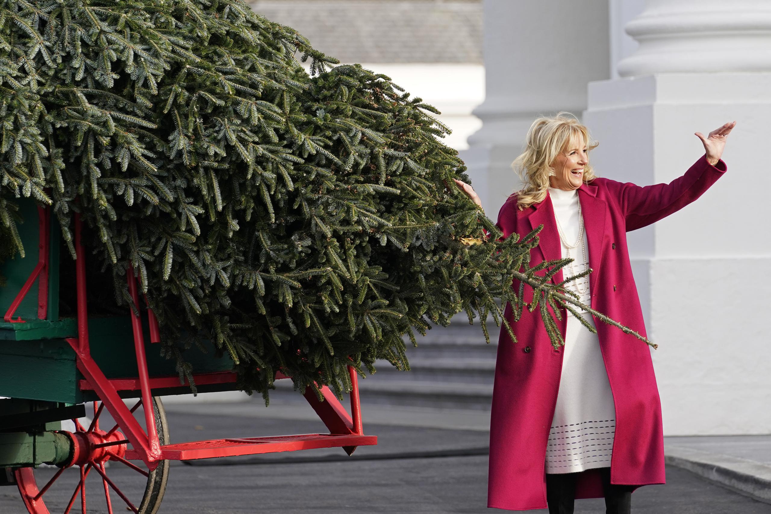 La primera dama de Estados Unidos, Jill Biden, saluda a las personas que la observan junto al árbol de Navidad oficial de la Casa Blanca, cultivado en Carolina del Norte, a su llegada a la Casa Blanca en Washington.