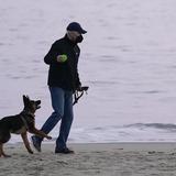 Nuevo perro de Joe Biden se roba el show en la playa