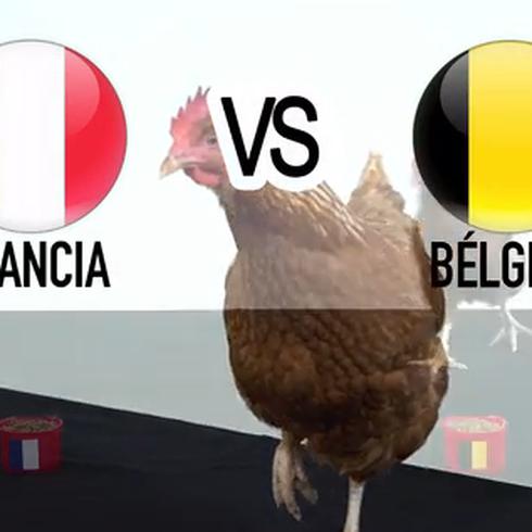 Kagüita predice el resultado del juego entre Francia y Bélgica