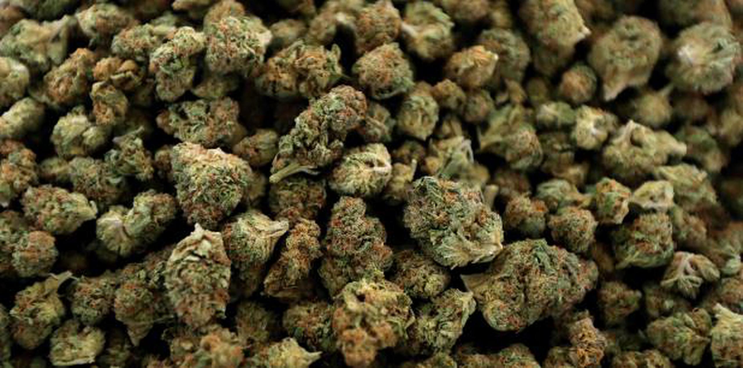 Michigan ahora es uno de casi doce estados y el Distrito de Columbia en haber legalizado la marihuana recreativa. (AP)