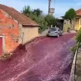 Río de vino tinto inunda pueblo de Portugal tras estallar tanques de una destilería
