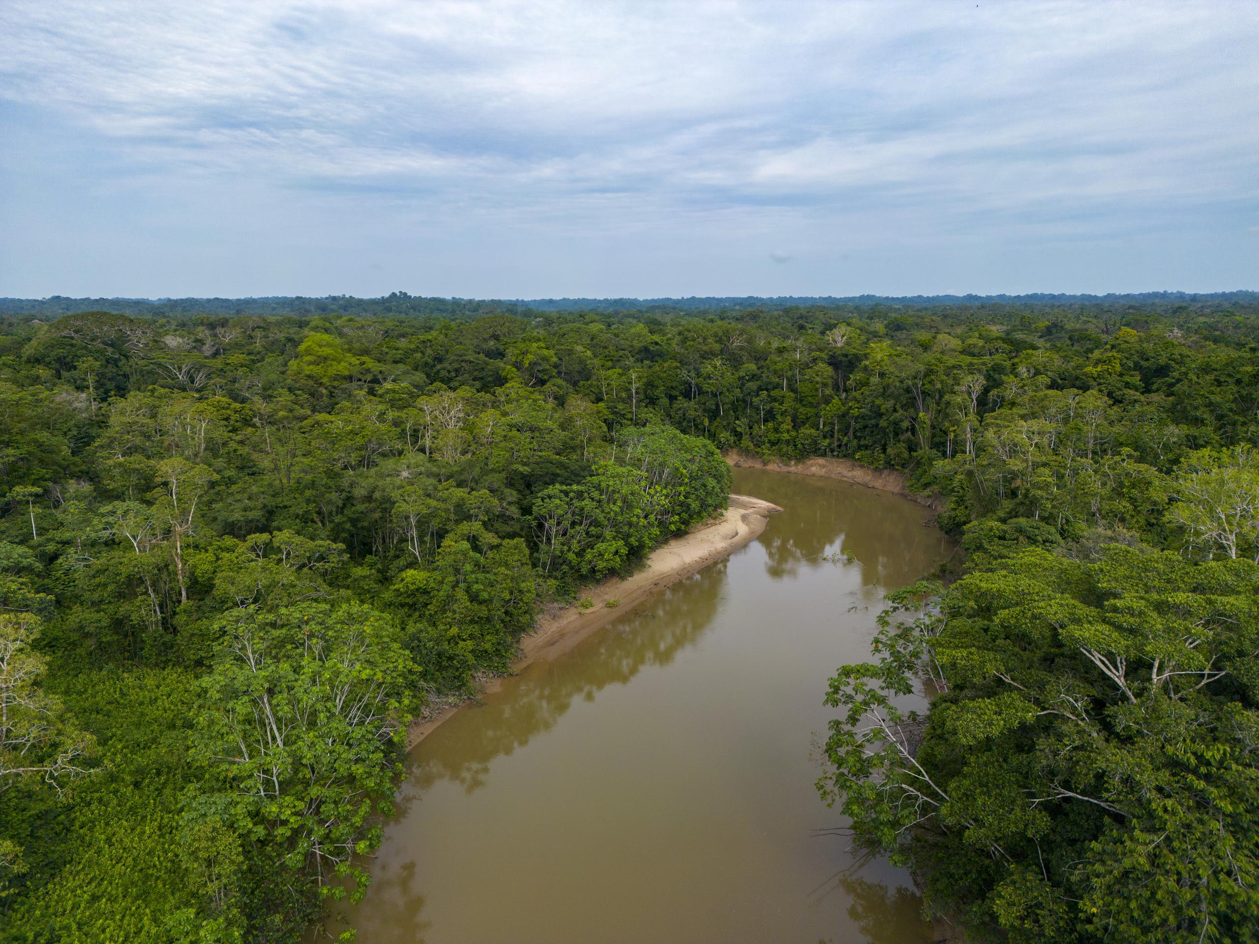 Imagen de archivo tomada con un dron muestra el río Tiputini en la comunidad Guiyero, el 29 de noviembre de 2022 en el Parque Nacional Yasuní (Ecuador). EFE/José Jácome/Archivo

