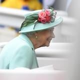 Francia regalará caballo a la reina Isabel II