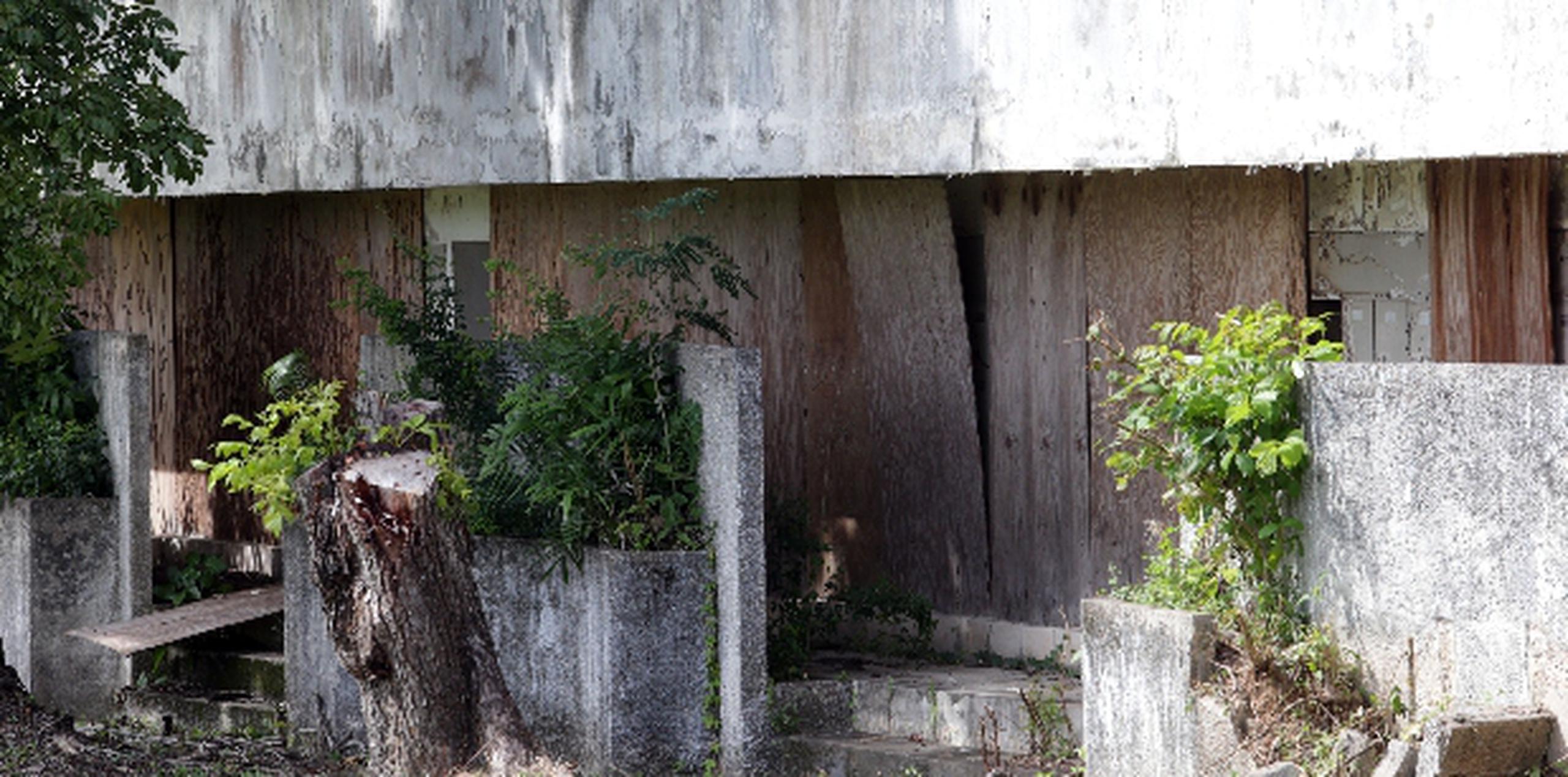 En el cementerio, el área conocida como el osario está en total abandono y, supuestamente, contiene asbesto. (mariel.mejia@gfrmedia.com )