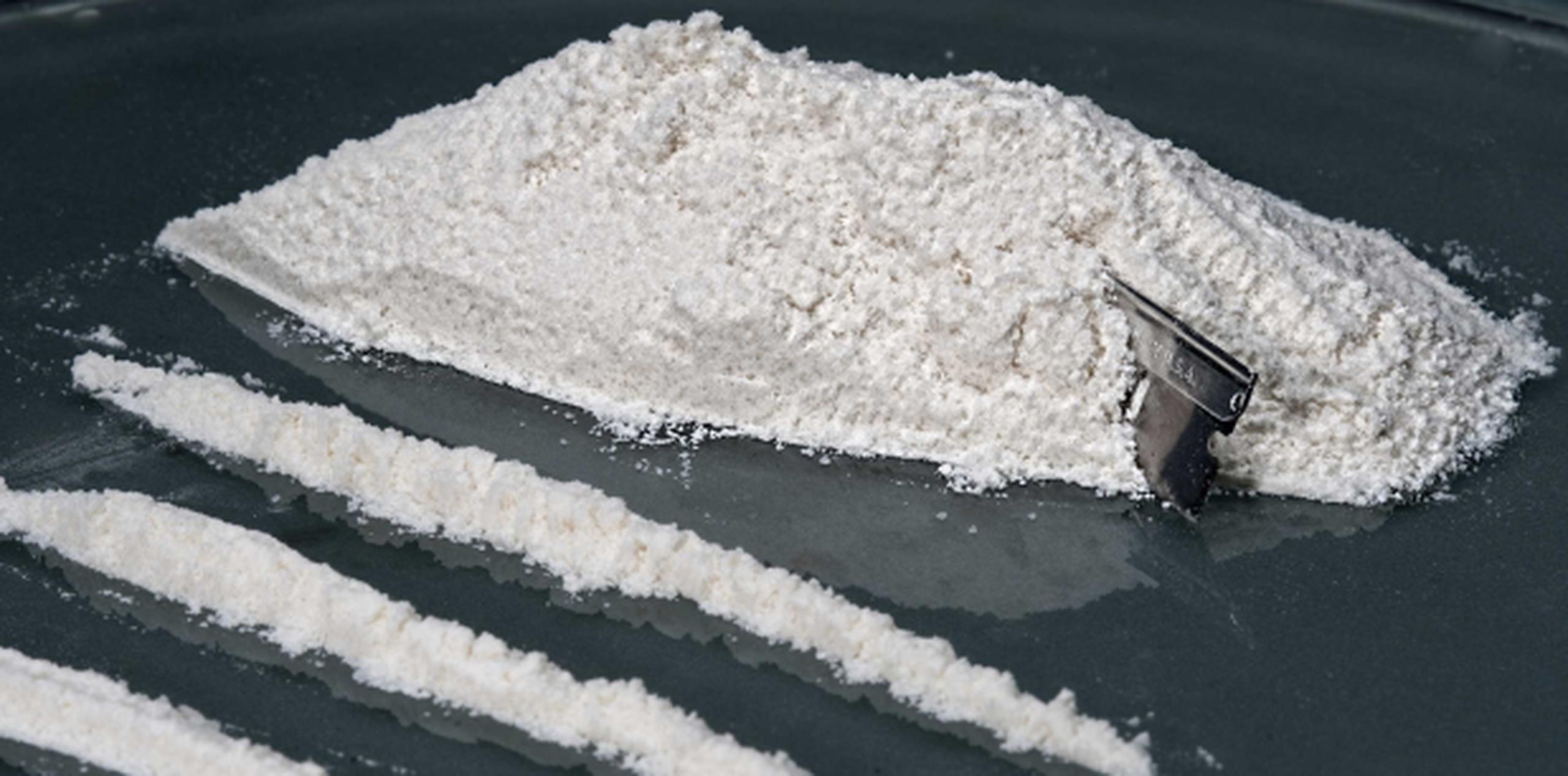 La cocaína, que fue secuestrada en noviembre del año pasado, estaba en 3,522 cajas de lámparas de sal. (Archivo)